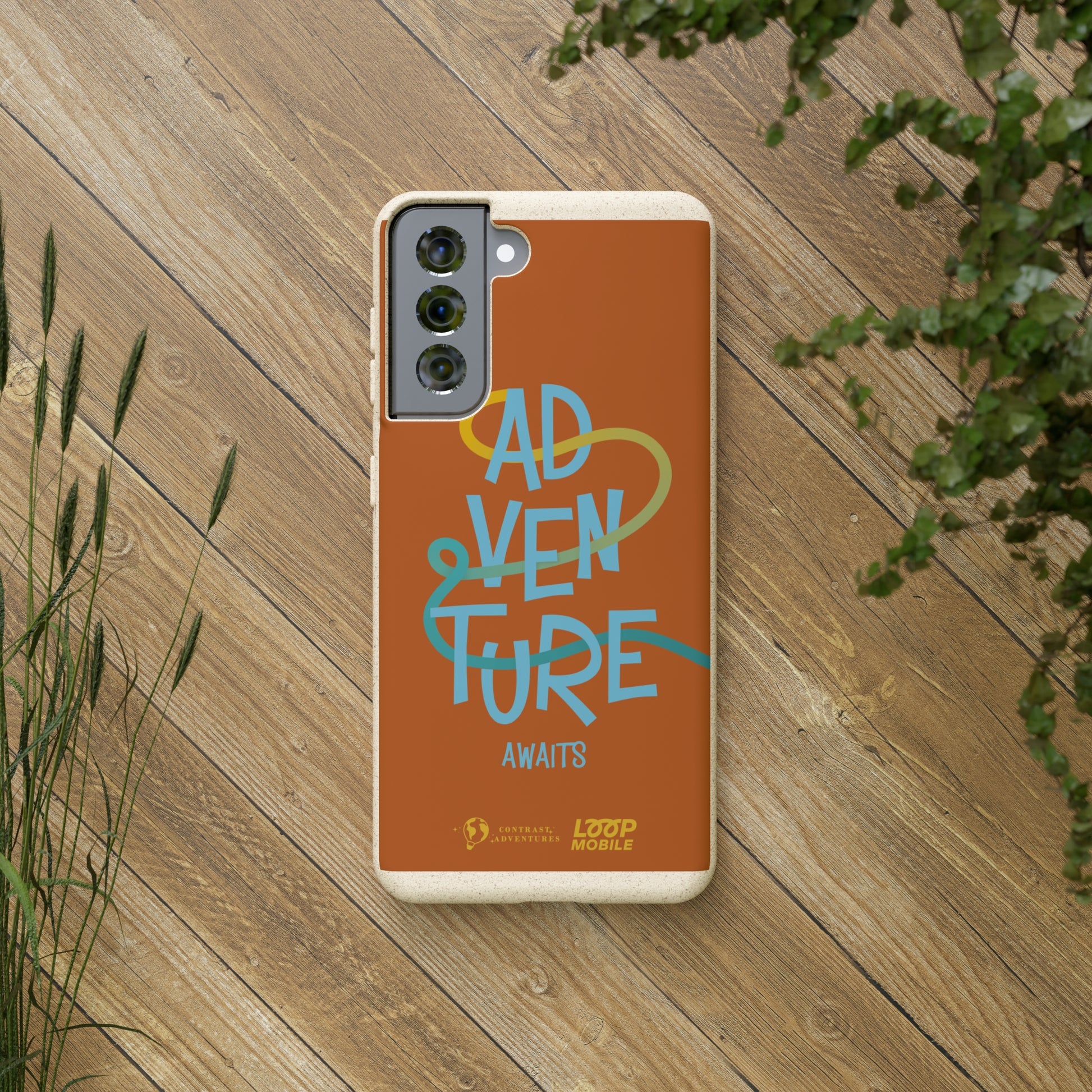 Adventure Awaits