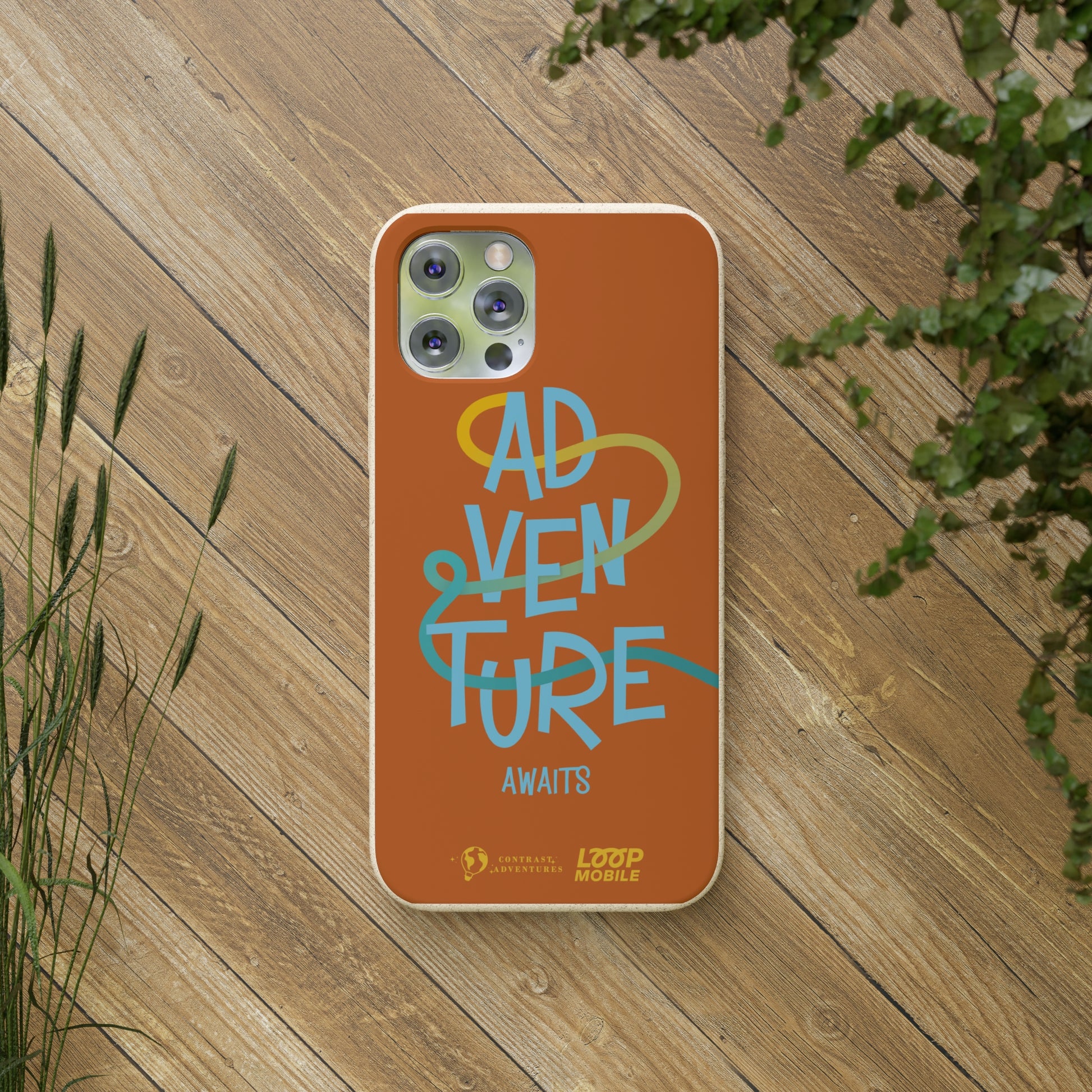 Adventure Awaits