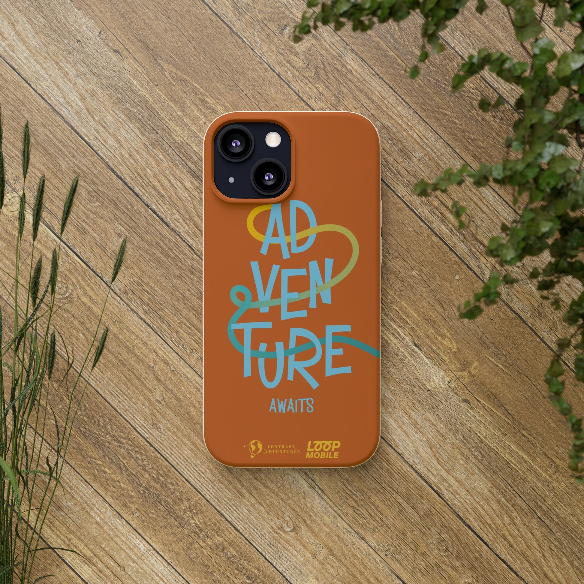 Adventure Awaits