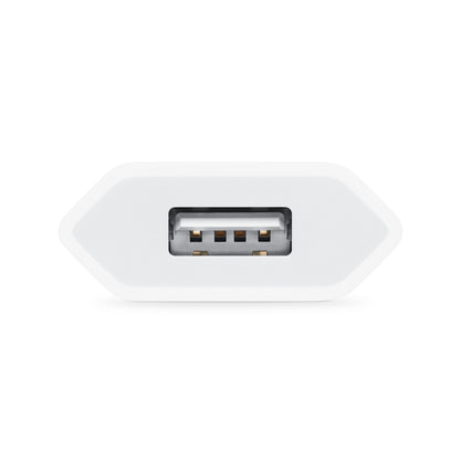 Apple 5W USB Adaptateur Secteur (EU)