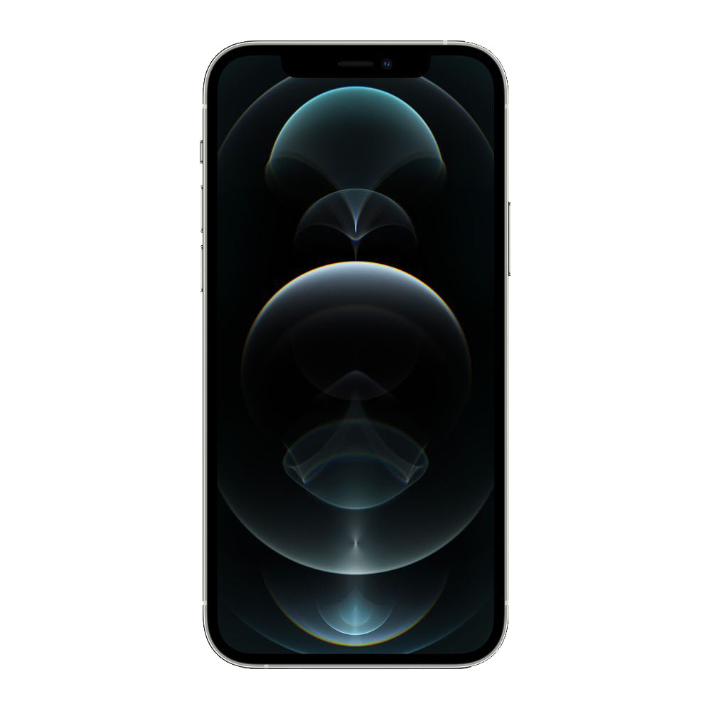 iPhone 12 Pro 256 Go - Argent - Débloqué - Etat correct
